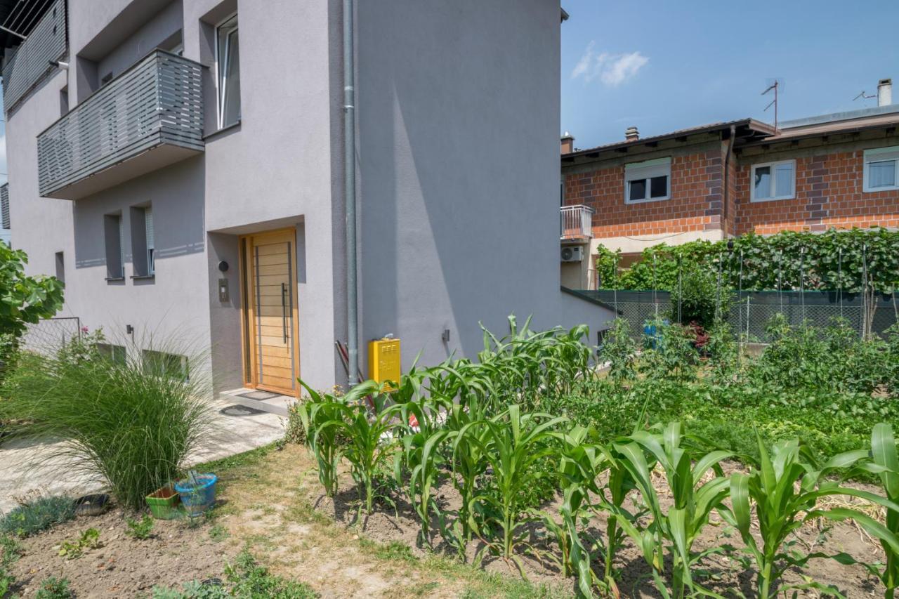 Pomodoro Rooms 자그레브 외부 사진