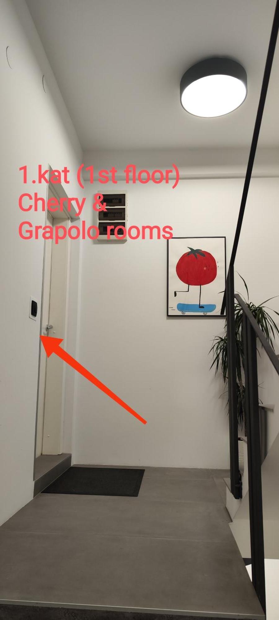 Pomodoro Rooms 자그레브 외부 사진